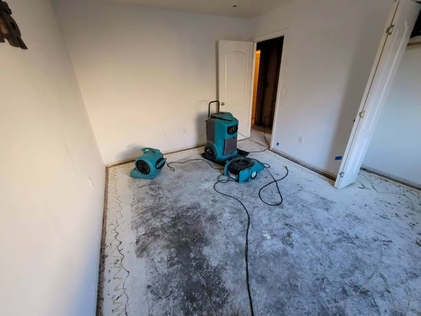 Best Water damage restoration insurance claims  in Combine, TX